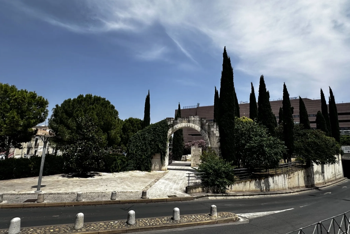 Appartement T2 dans le centre de Montpellier - Quartier Beaux-Arts 