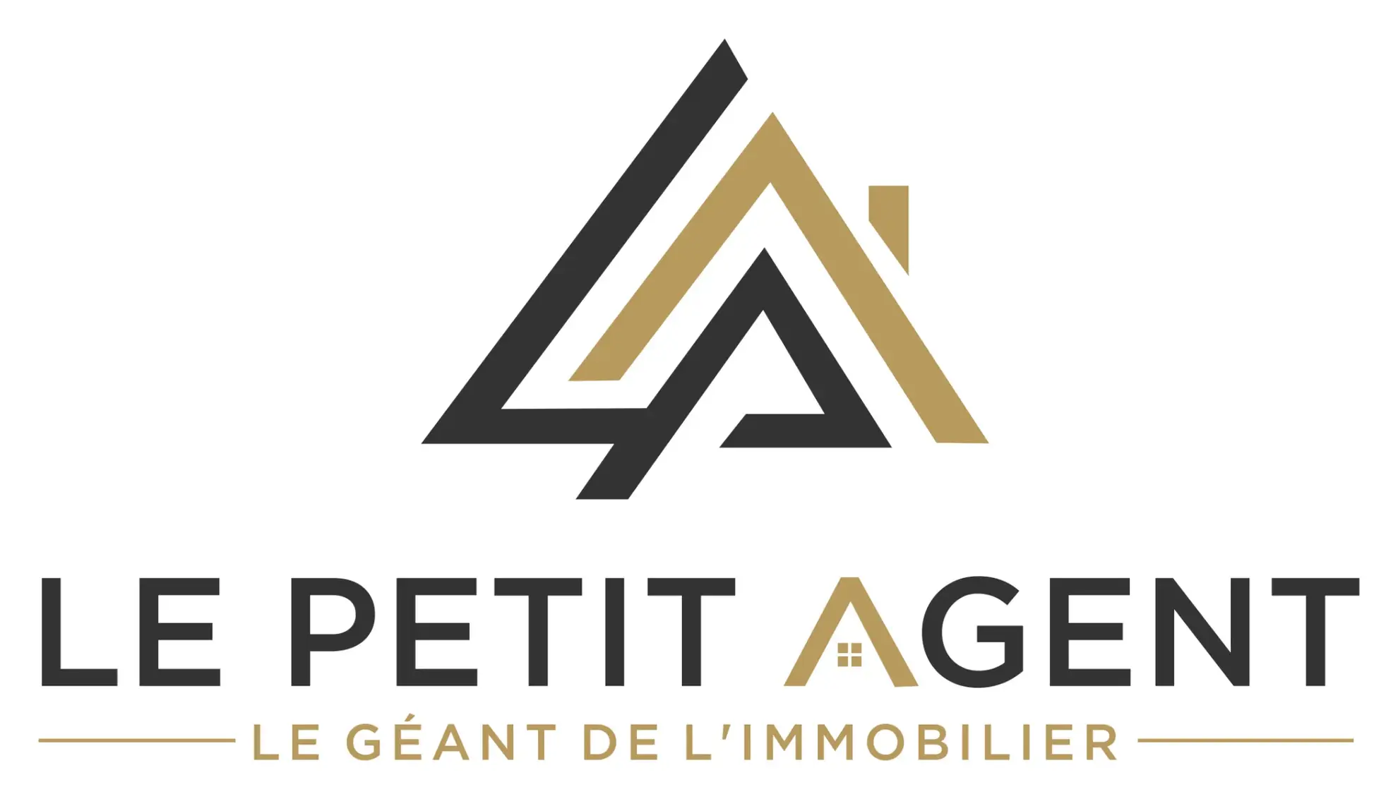 LEPETITAGENT_1