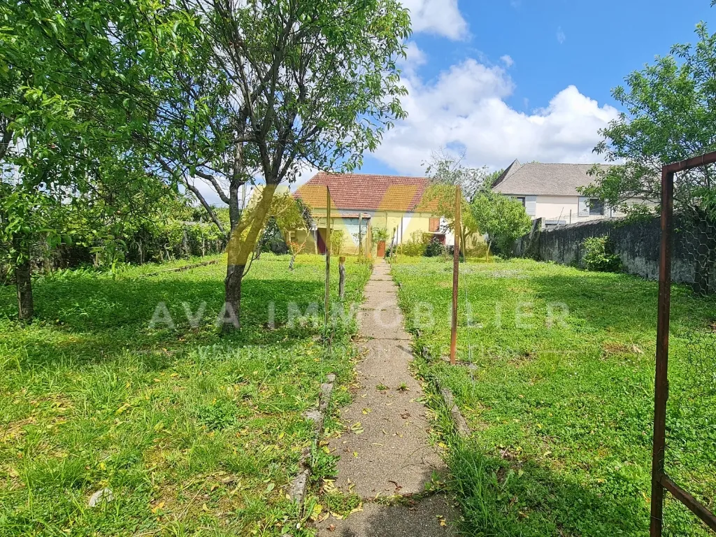 Grande maison de village de 299 m² avec jardins et dépendances à Navarrenx 