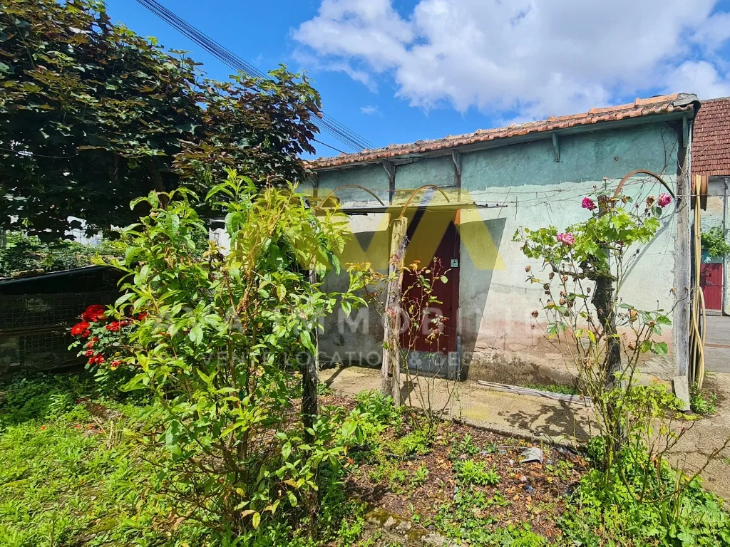 Grande maison de village de 299 m² avec jardins et dépendances à Navarrenx 