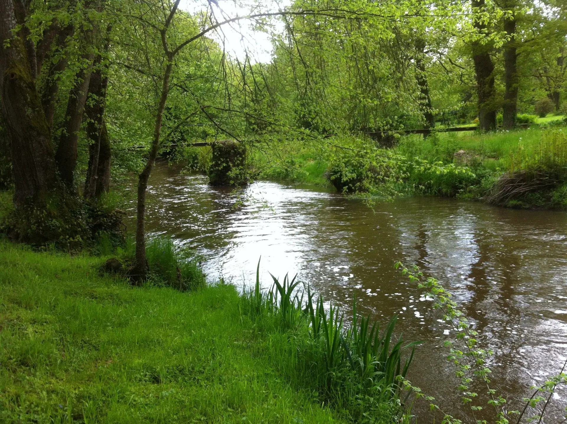 Maison T6 avec parc arboré à La Souterraine - Calme et Nature 