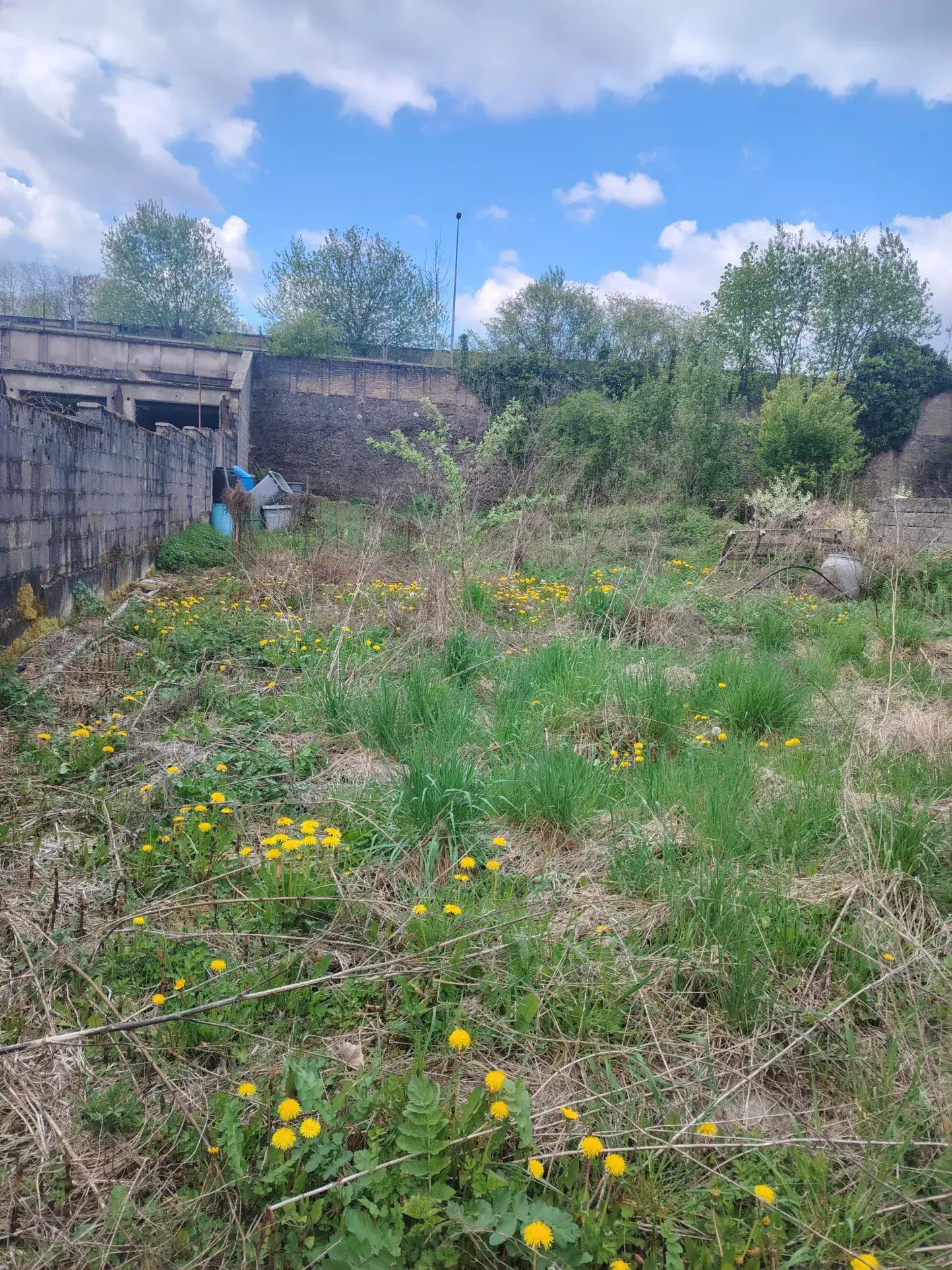 Terrain constructible de 611 m² à Mont Saint Martin - Opportunité à saisir