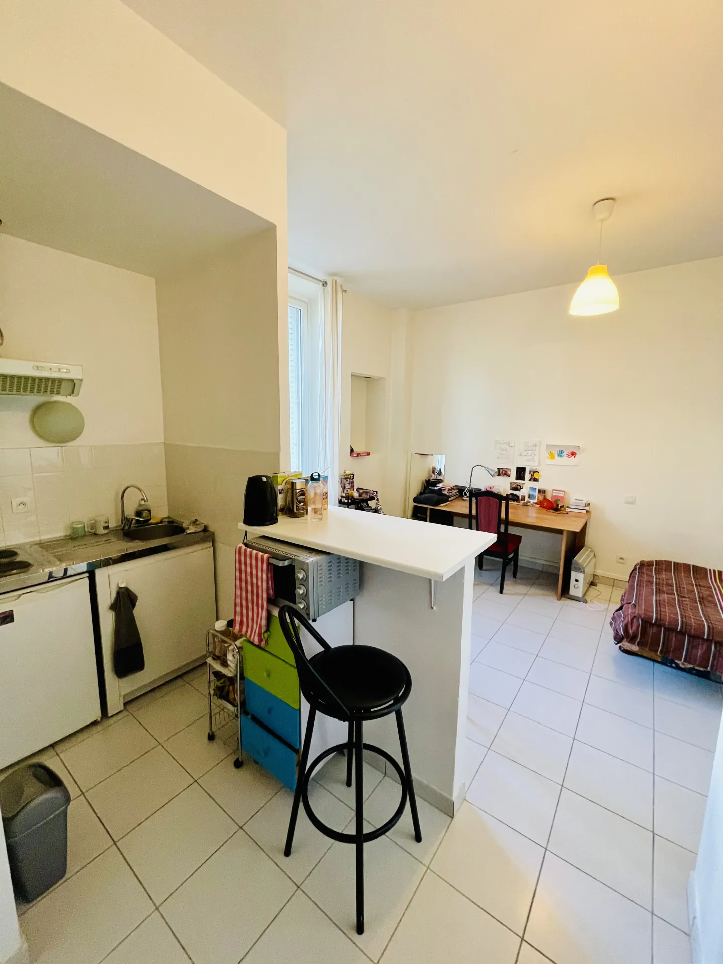 Appartement ancien avec studio à Grenoble, secteur gare, 112 m² 