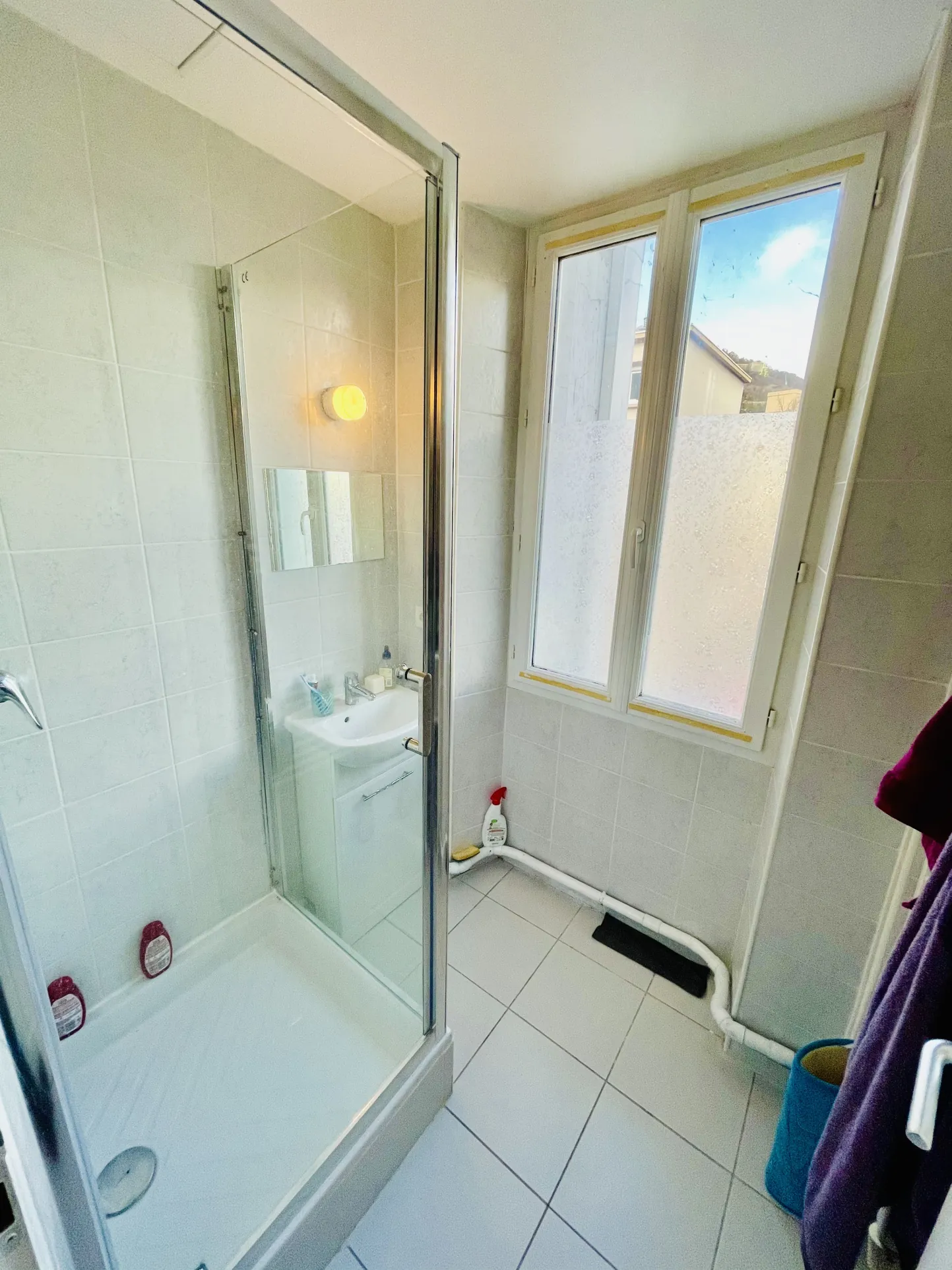 Appartement ancien avec studio à Grenoble, secteur gare, 112 m² 