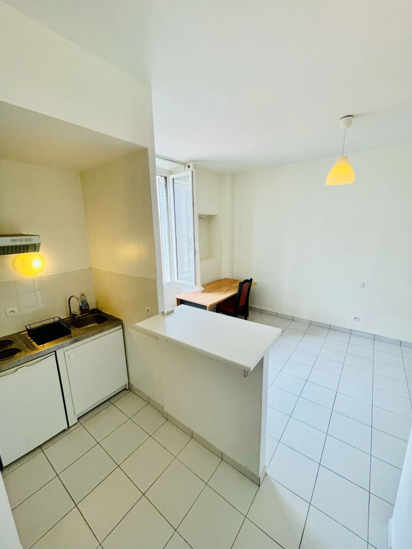 Appartement ancien avec studio à Grenoble, secteur gare, 112 m² 