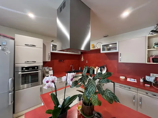 Maison avec terrasses, grand garage et panneaux solaires à Castelnau d'Aude 