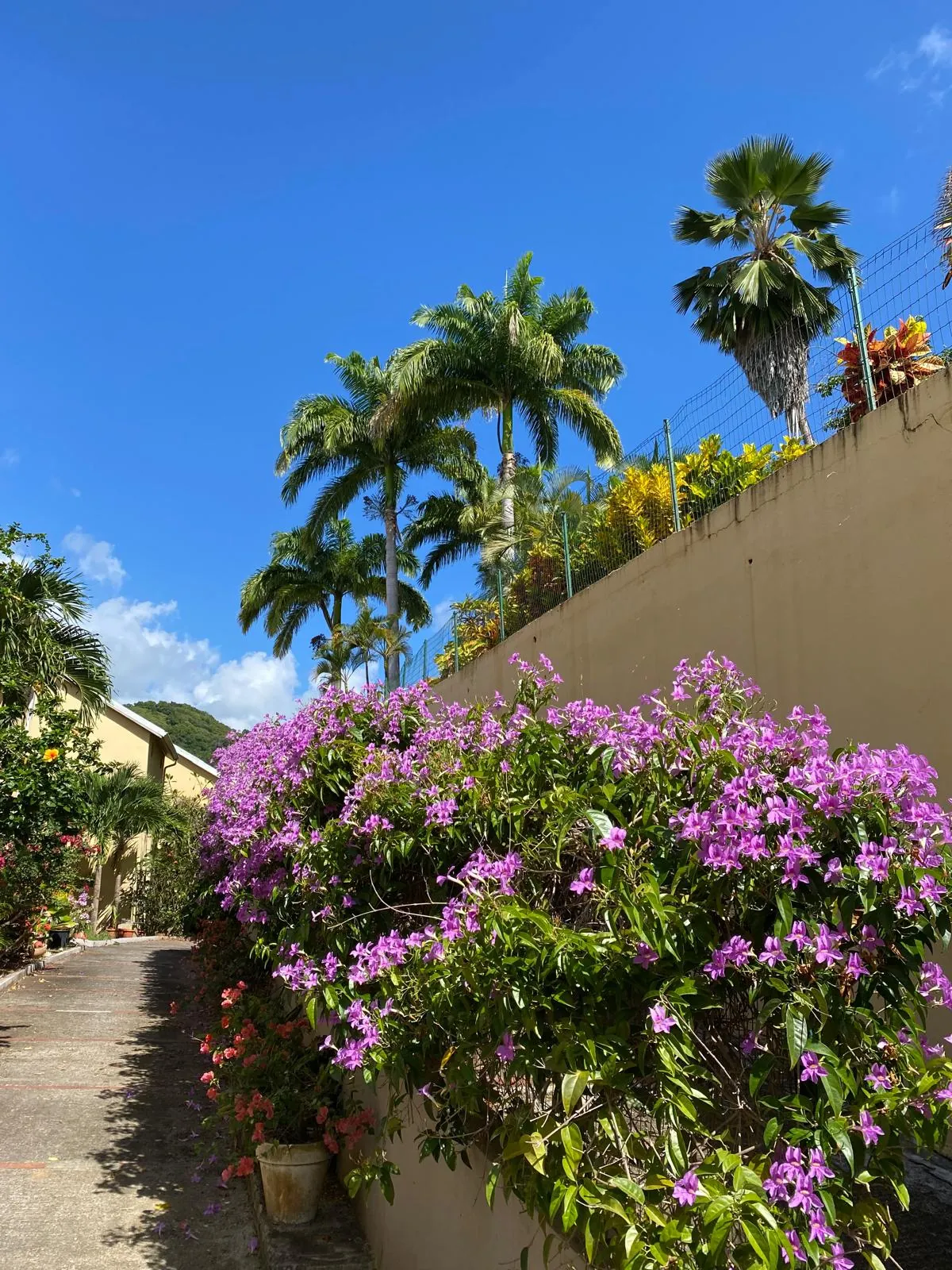 Appartement duplex avec vue sur la Marina au Marin - Idéal résidence ou investissement 