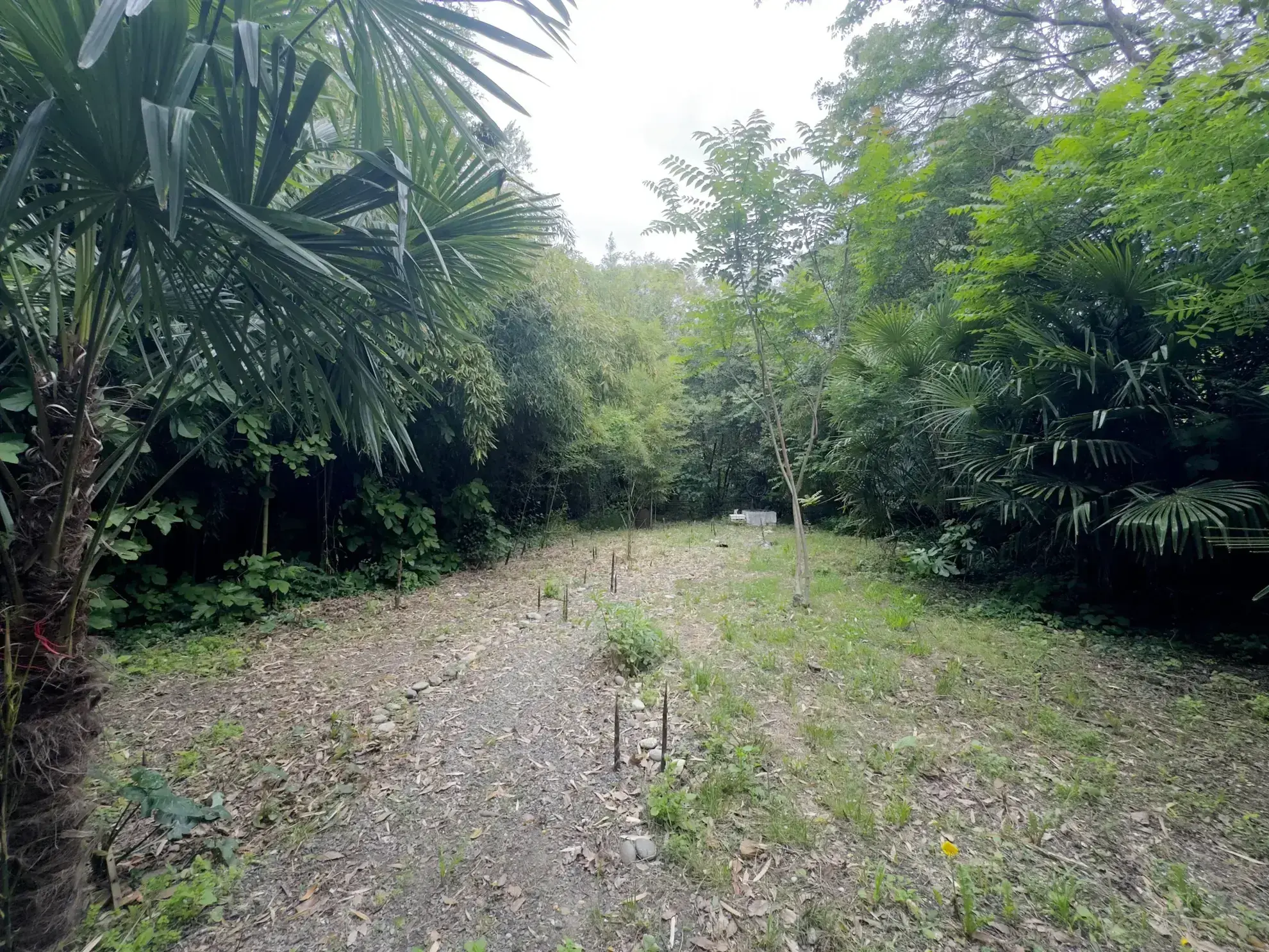 Maison T4 avec jardin arboré à Trèbes, secteur calme et recherché 