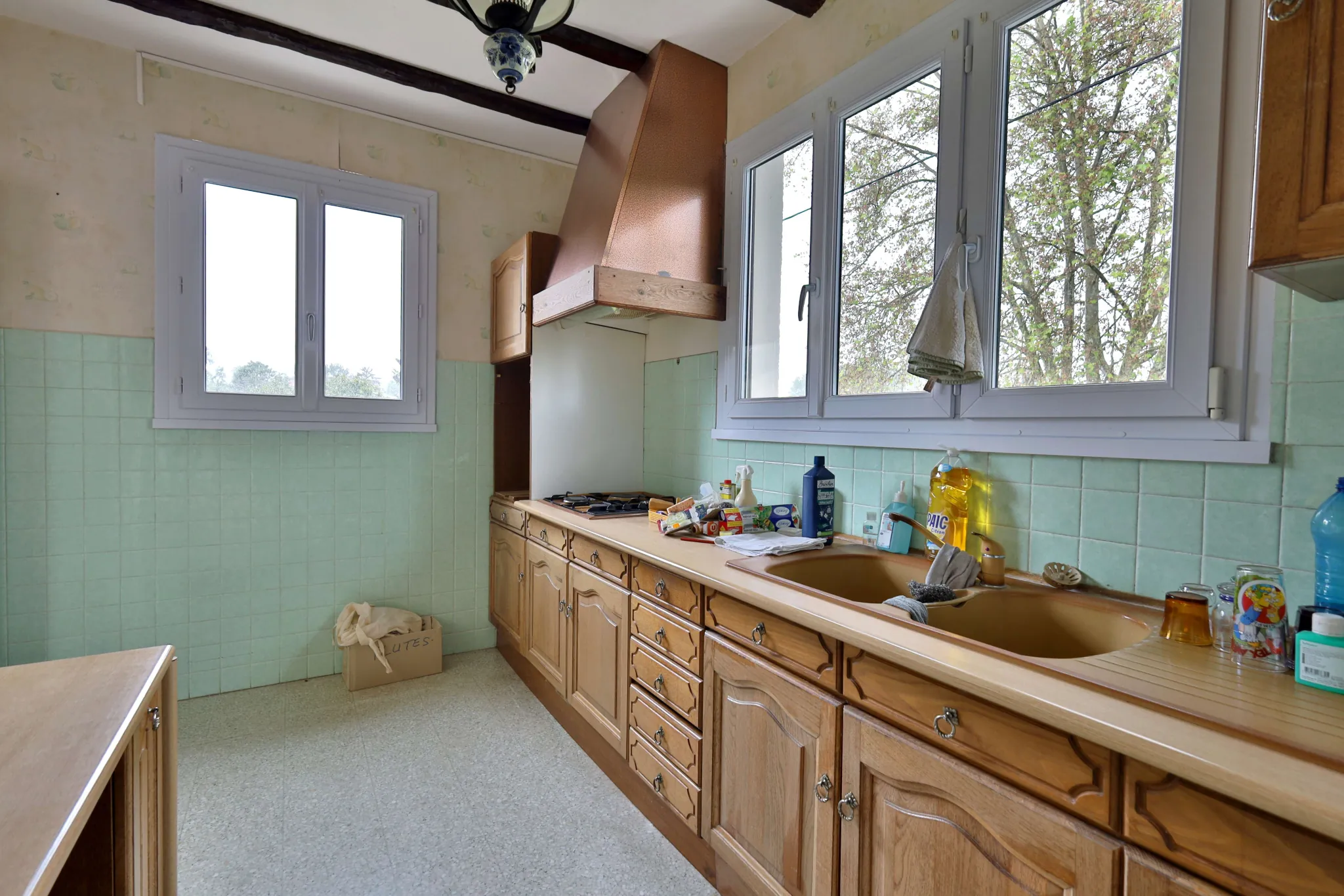 Maison à vendre à Oytier-Saint-Oblas avec grand terrain et potentiel de rénovation 