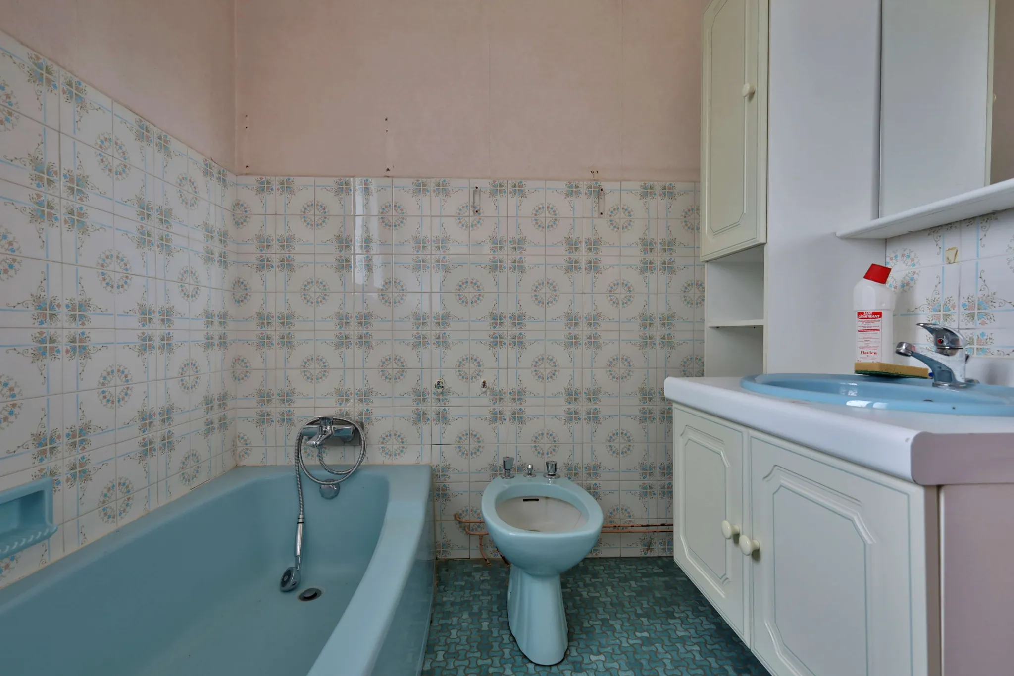 Maison à vendre à Oytier-Saint-Oblas avec grand terrain et potentiel de rénovation 