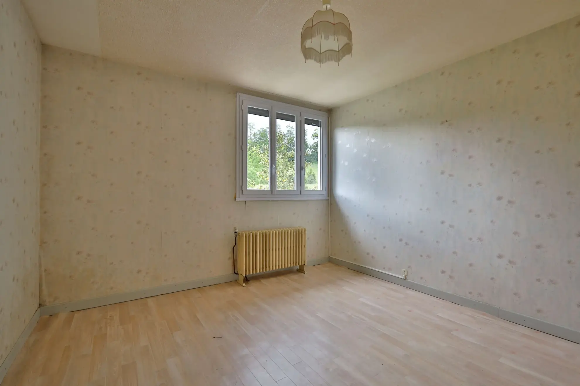 Maison à vendre à Oytier-Saint-Oblas avec grand terrain et potentiel de rénovation 