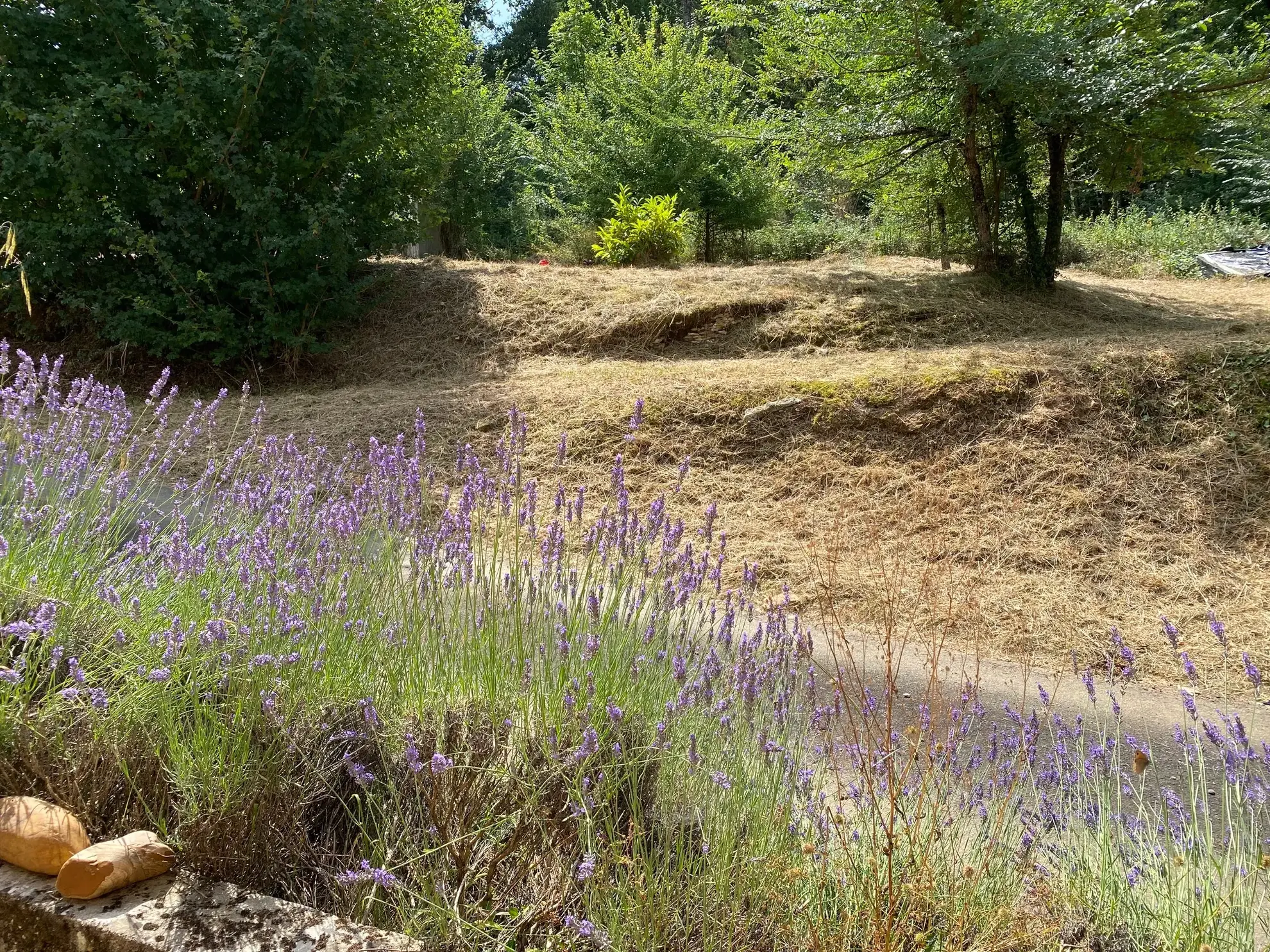 Maison en pierre à rénover avec grand terrain à Blanquefort-sur-Briolance 