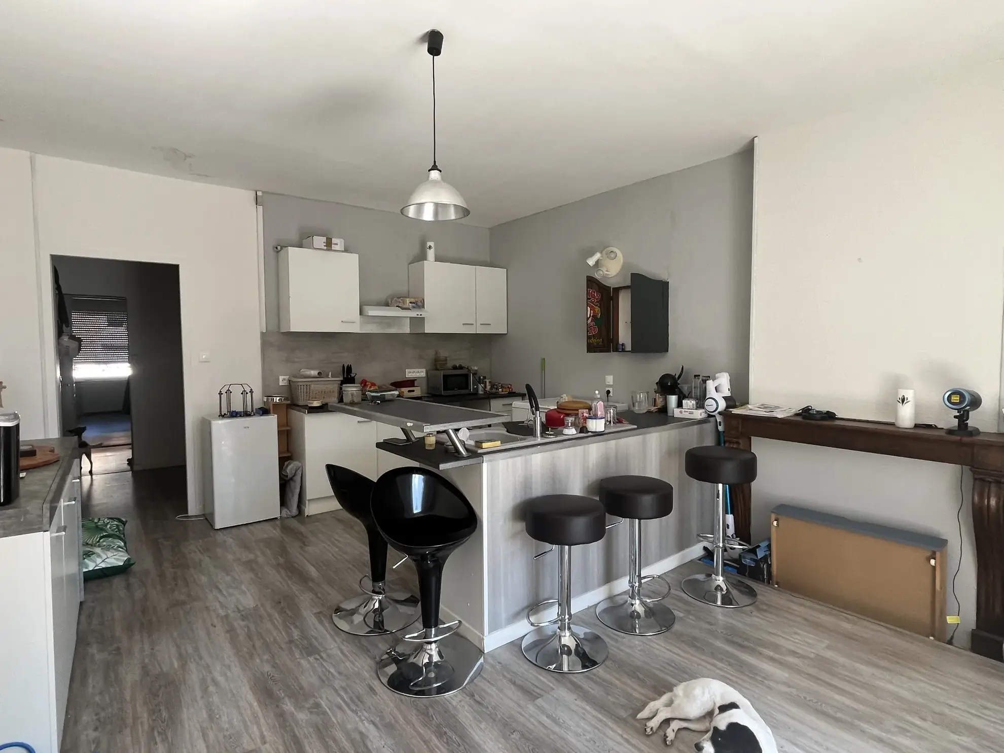 Maison avec deux habitations, garage et studio à Bourbonne-les-Bains - Opportunité d'investissement