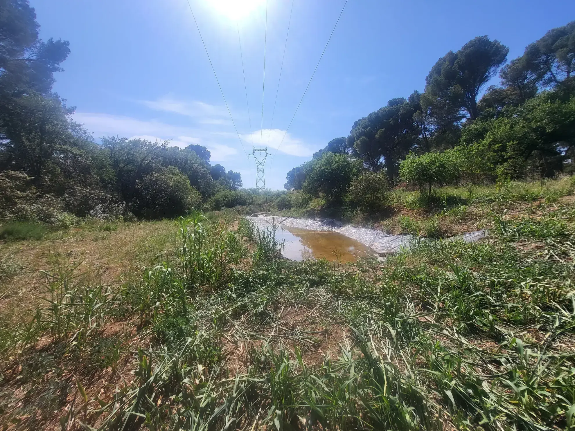 Terrain agricole à Servian de 3705 m² avec équipements et environnement calme 
