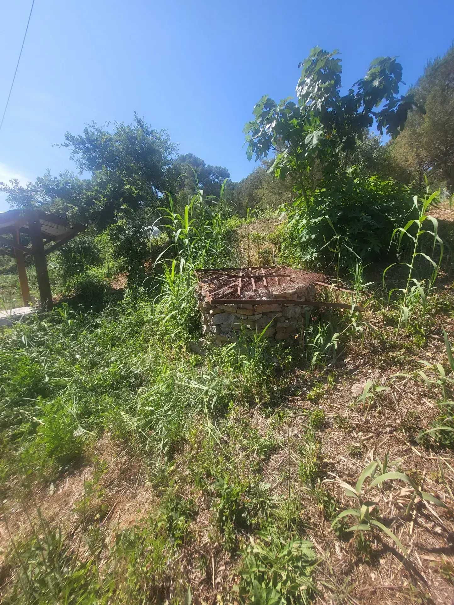 Terrain agricole à Servian de 3705 m² avec équipements et environnement calme