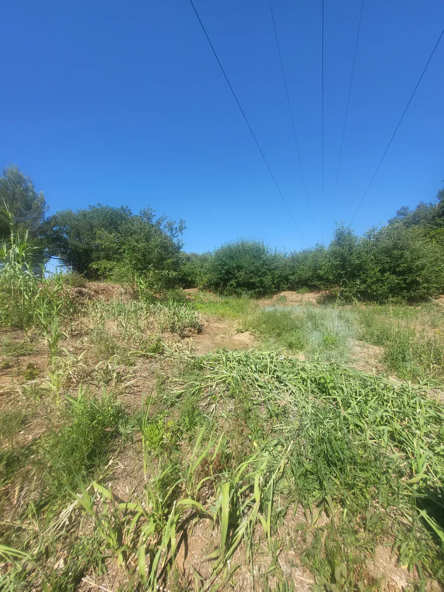 Terrain agricole à Servian de 3705 m² avec équipements et environnement calme 