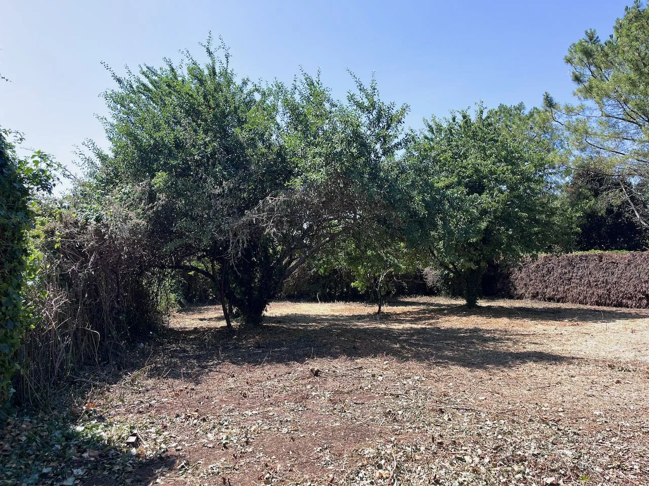 Terrain constructible à Saint-Étienne-de-Brillouet de 797 m², viabilisé et clos 