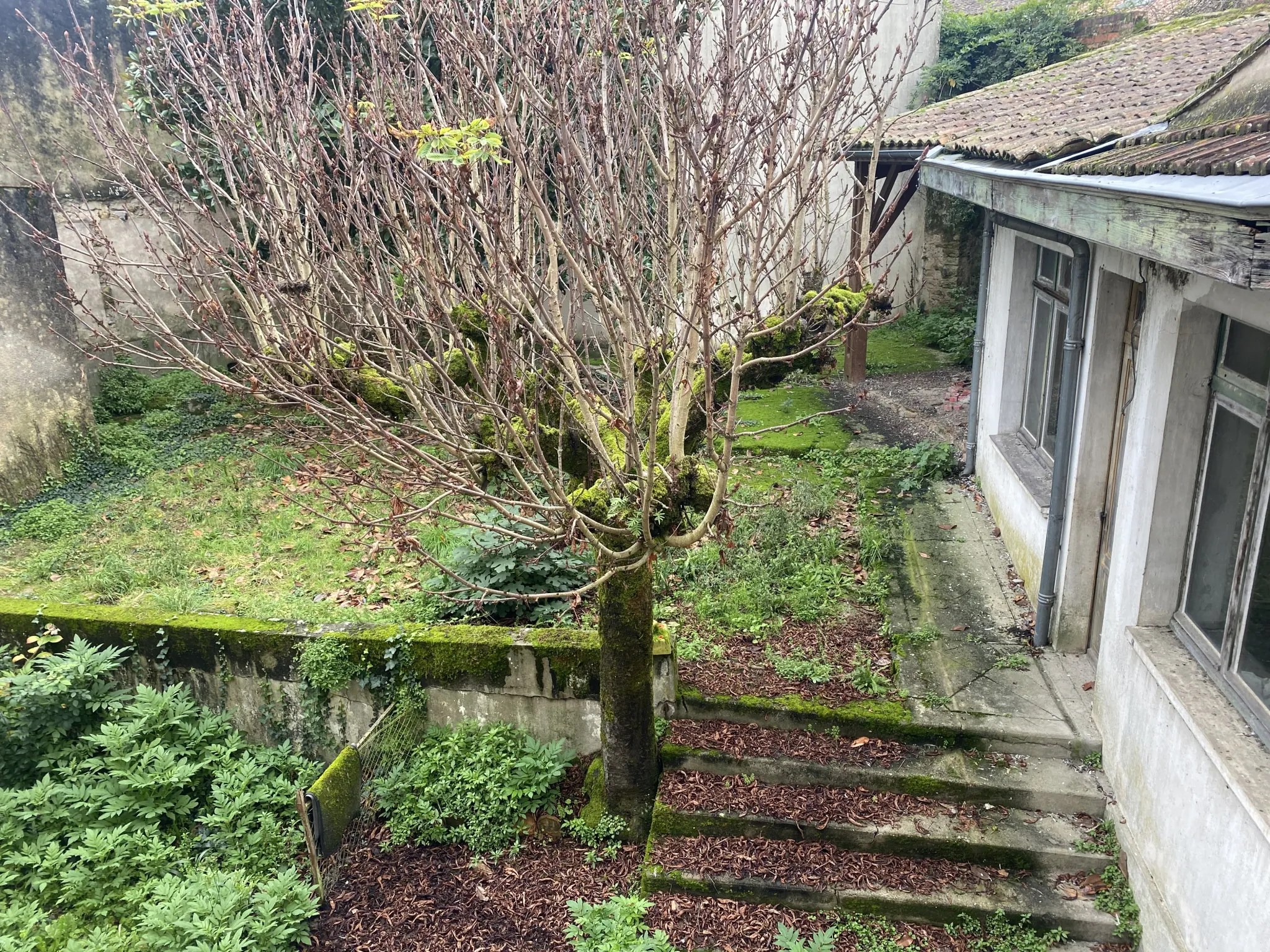 Grande maison de ville rénovée de 230 m² avec dépendance et jardin à La Réole 