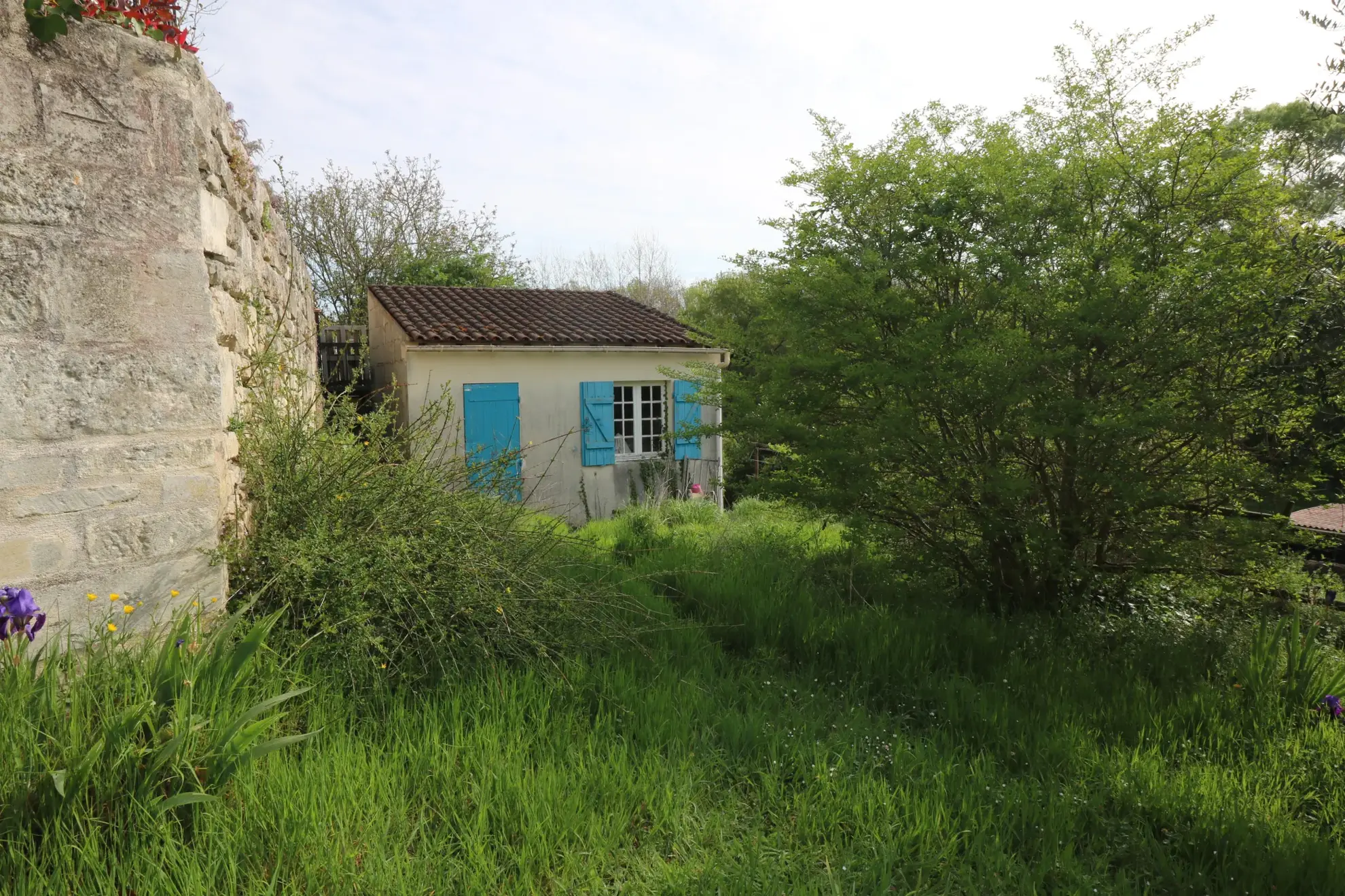 Terrain non constructible avec bâtisse à Crazannes - Calme et nature