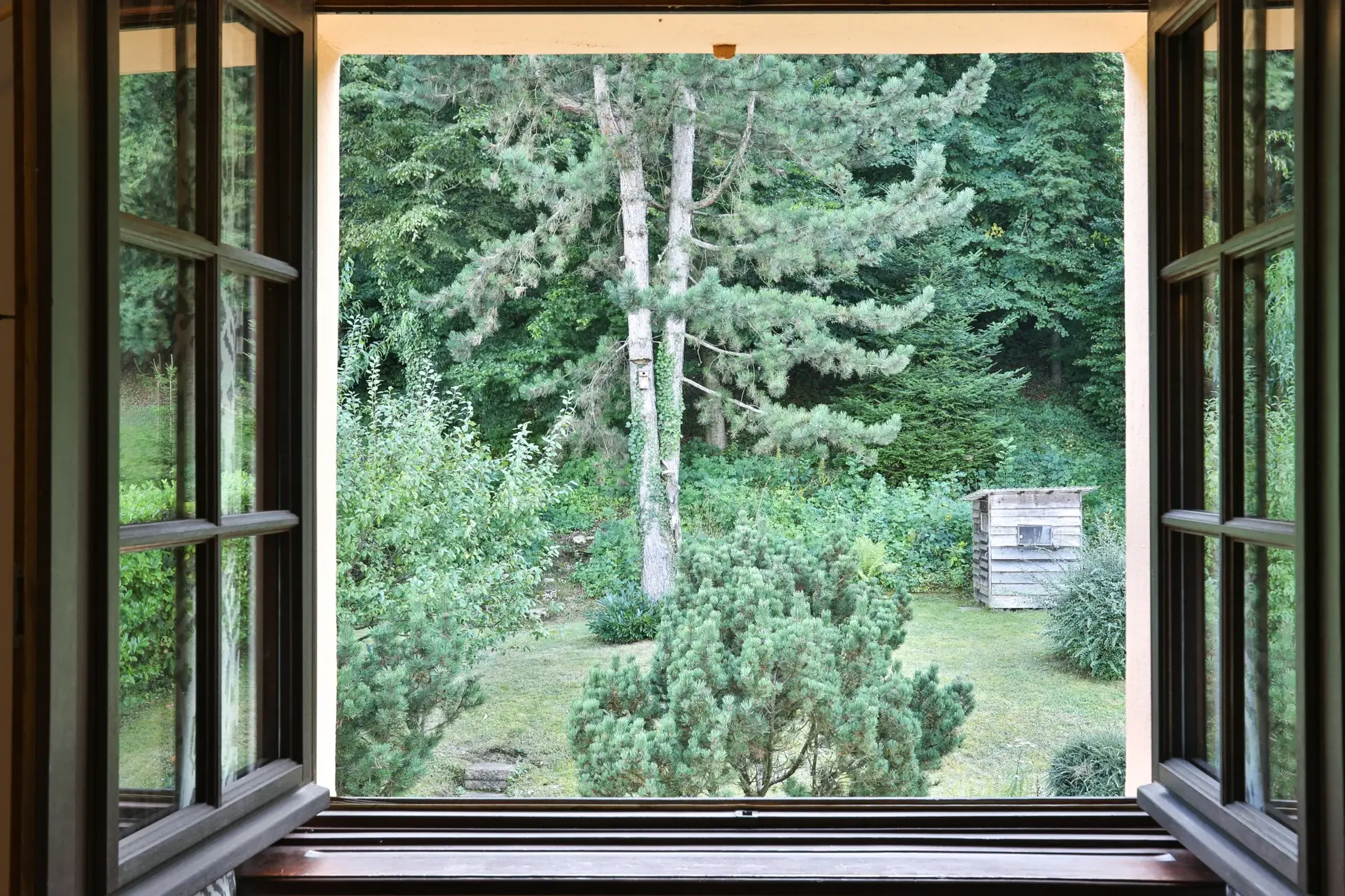 Maison à Ferrette avec vue exceptionnelle sur la forêt et les Vosges 