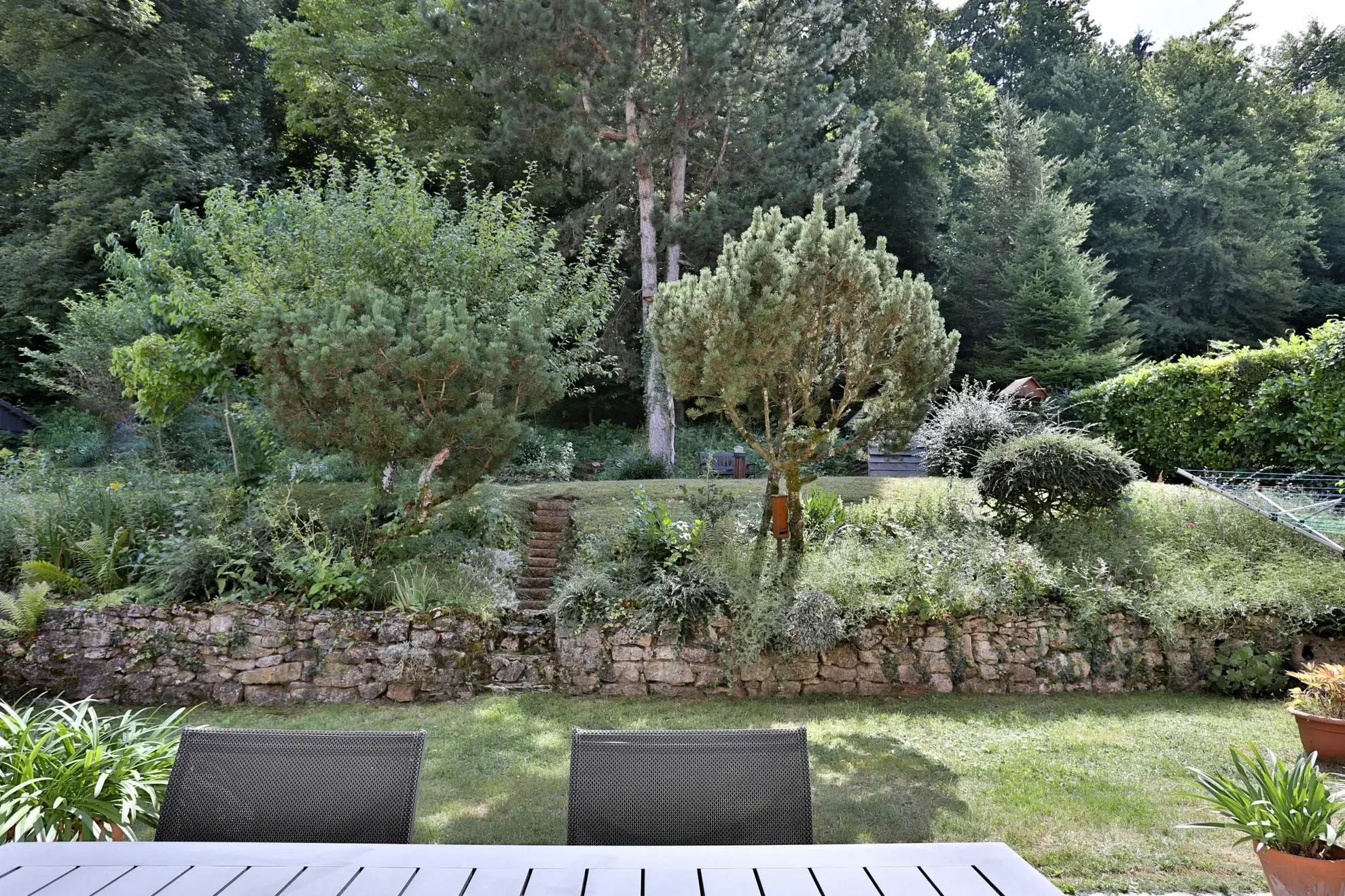 Maison à Ferrette avec vue exceptionnelle sur la forêt et les Vosges 