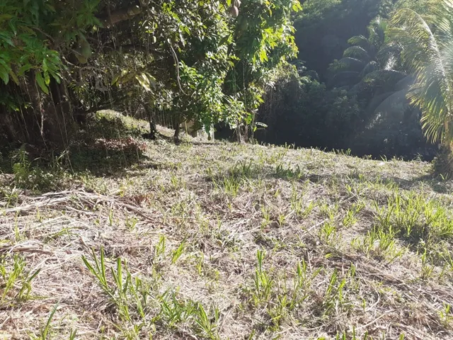 Terrain constructible à vendre à Fort-de-France Balata – Vue dégagée et emplacement idéal 