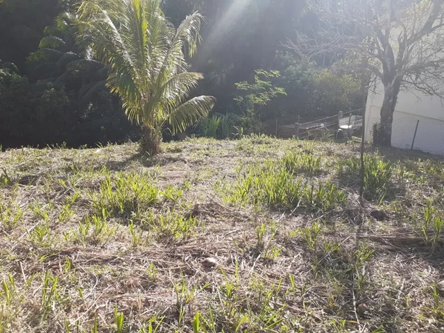 Terrain constructible à vendre à Fort-de-France Balata – Vue dégagée et emplacement idéal 