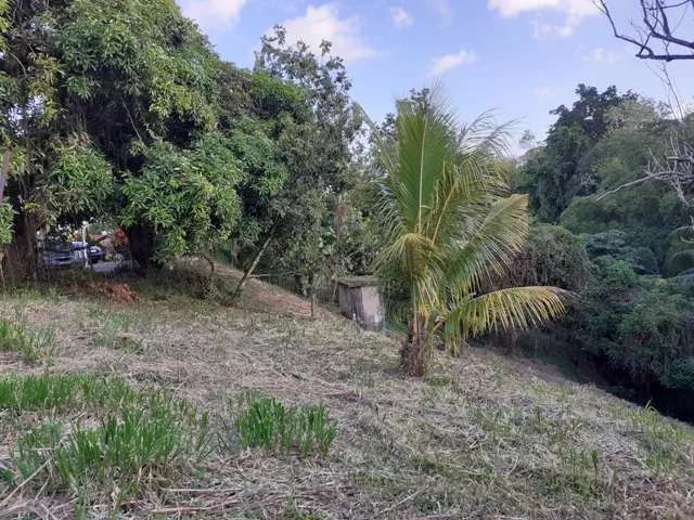 Terrain constructible à vendre à Fort-de-France Balata – Vue dégagée et emplacement idéal 