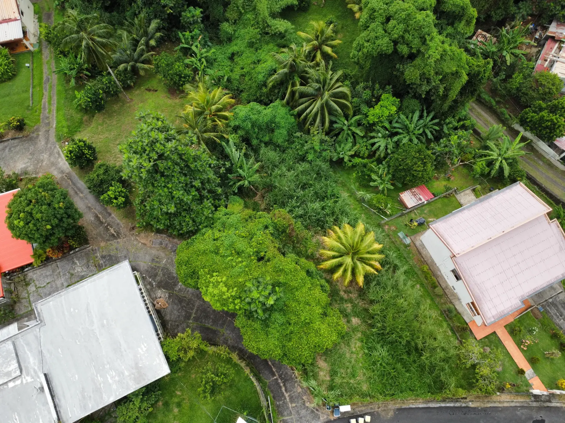 Terrain constructible à vendre à Fort-de-France Balata – Vue dégagée et emplacement idéal 