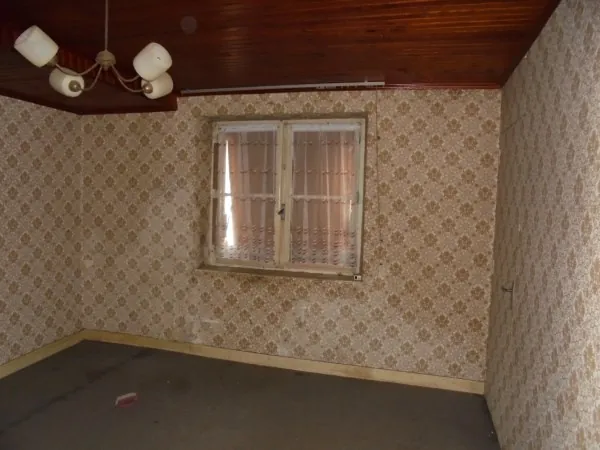 Ensemble immobilier avec 2 maisons, garage et jardin à La Réole 