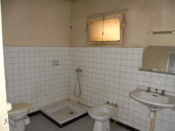 Ensemble immobilier avec 2 maisons, garage et jardin à La Réole 