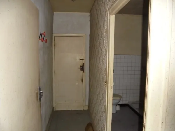 Ensemble immobilier avec 2 maisons, garage et jardin à La Réole 