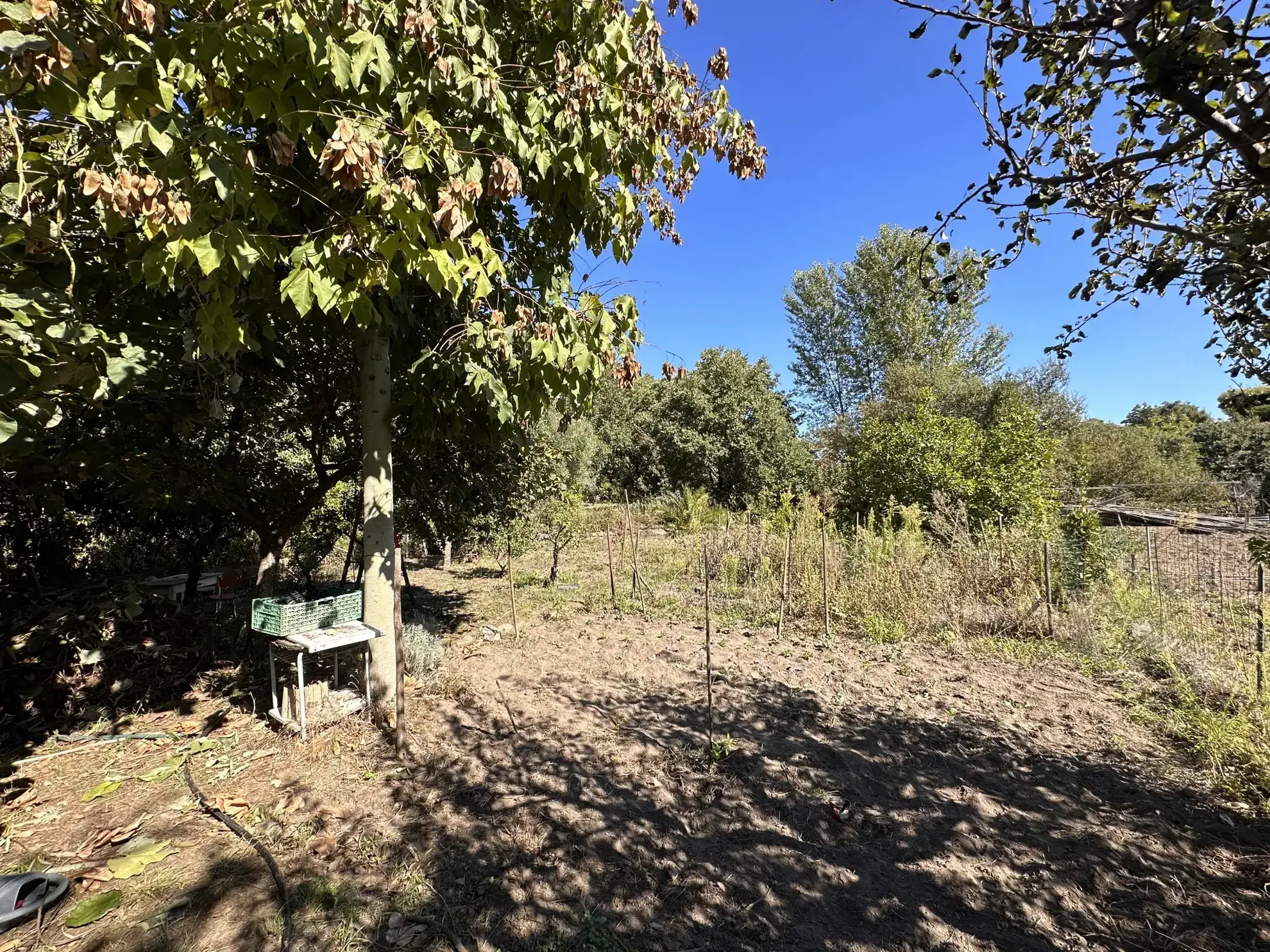 Terrain de loisir avec vue à Laroque des Albères - Spacieux et arboré 