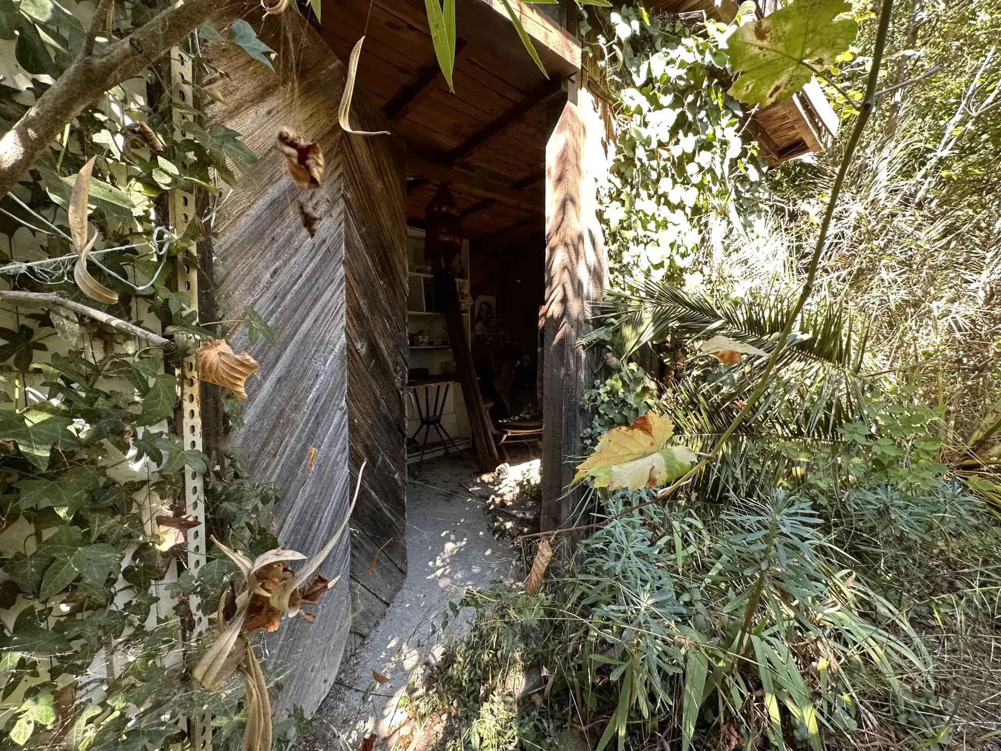 Terrain de loisir avec vue à Laroque des Albères - Spacieux et arboré 