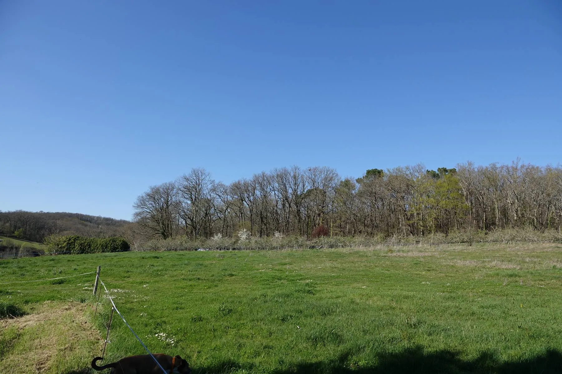Belle maison de maître avec grange sur 5 hectares en Quercy à Soturac 