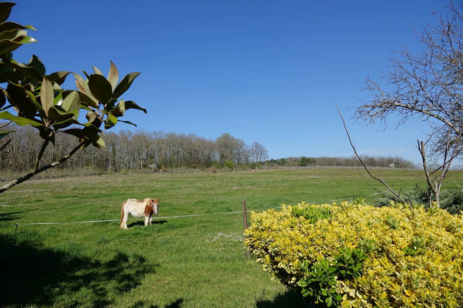 Belle maison de maître avec grange sur 5 hectares en Quercy à Soturac 