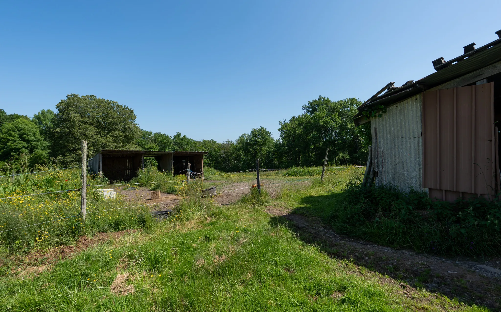 Ferme en pierre rénovée aux portes de Périgueux avec 1,3 ha de terrain 