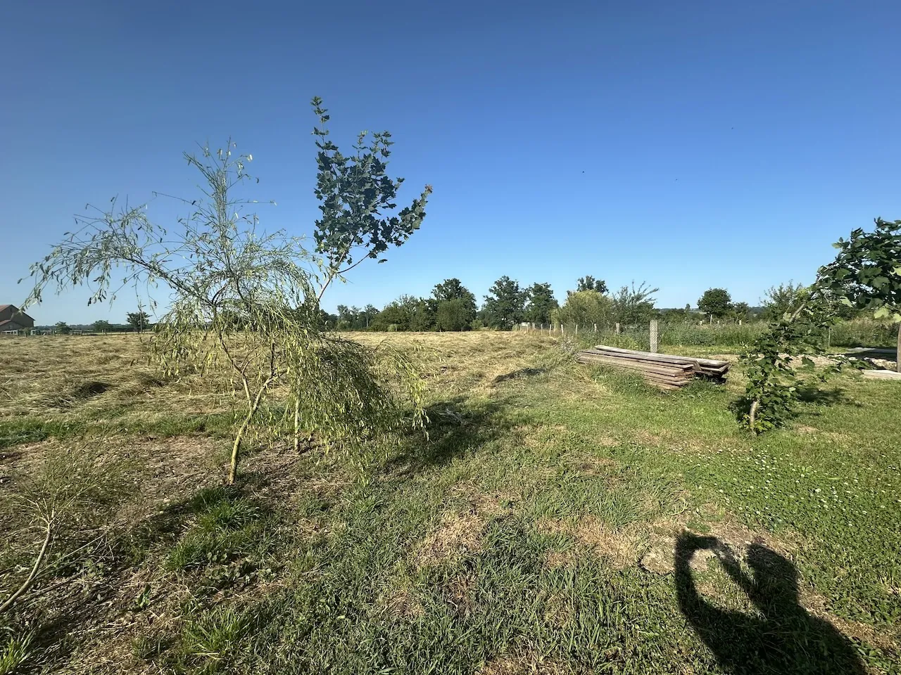 Authentique ferme ancienne avec dépendances, 180 m² habitables, terrain 1,3 ha à Artaix 