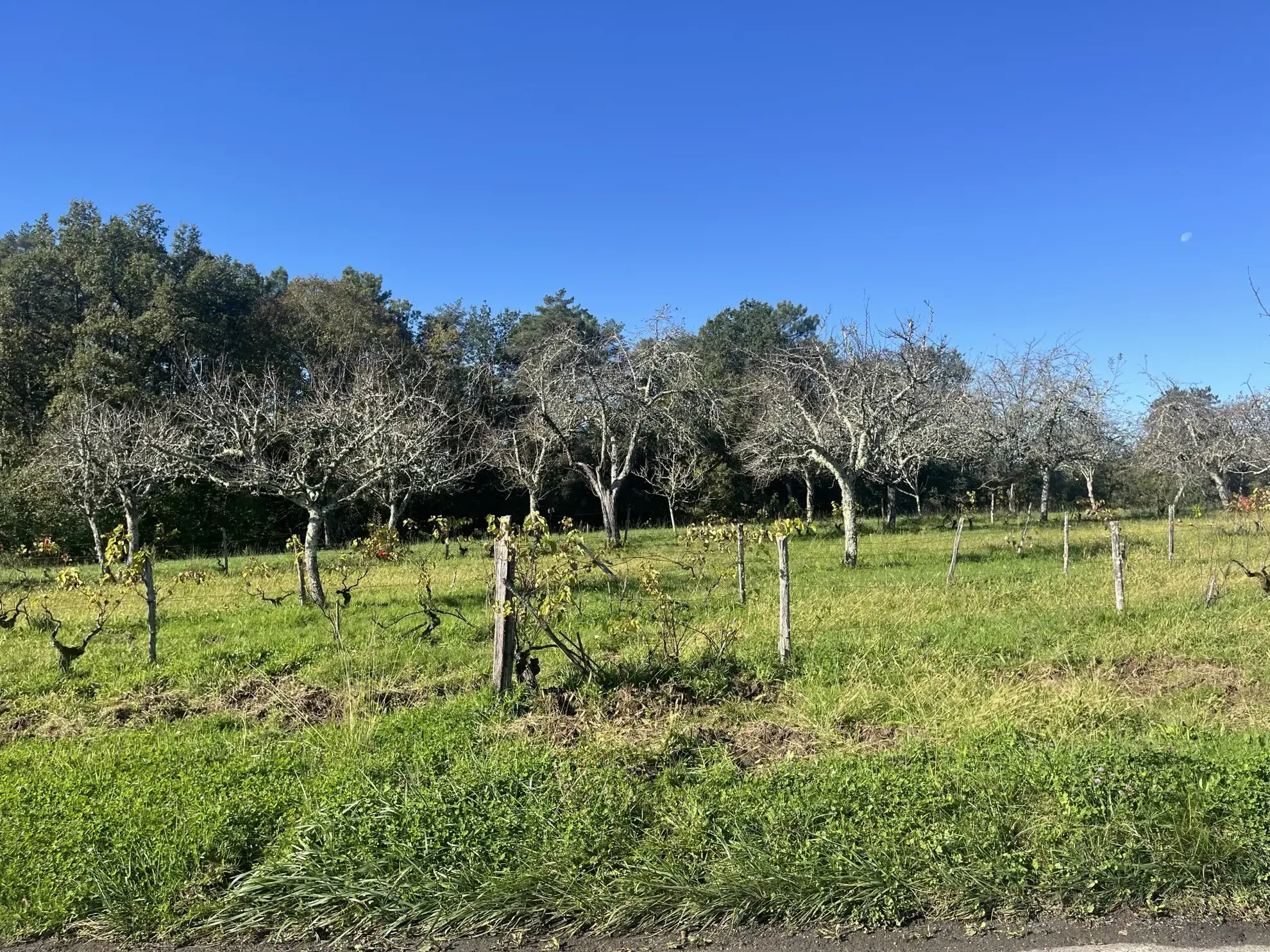 Terrain constructible de 2255 m² à Sarlat, secteur calme et ensoleillé
