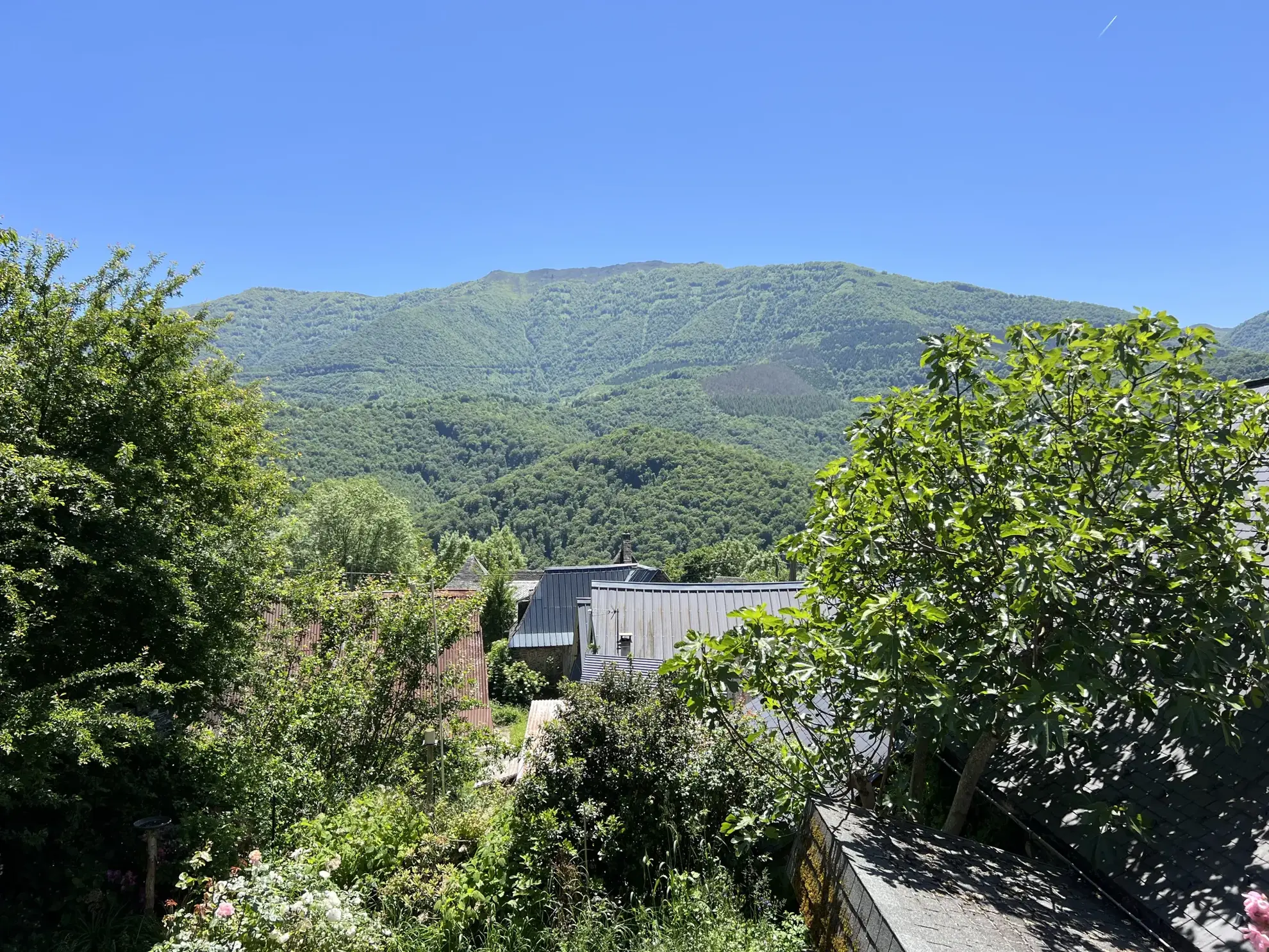 Charmante maison de village avec vue montagne à Saint-Jean-du-Castillonnais 