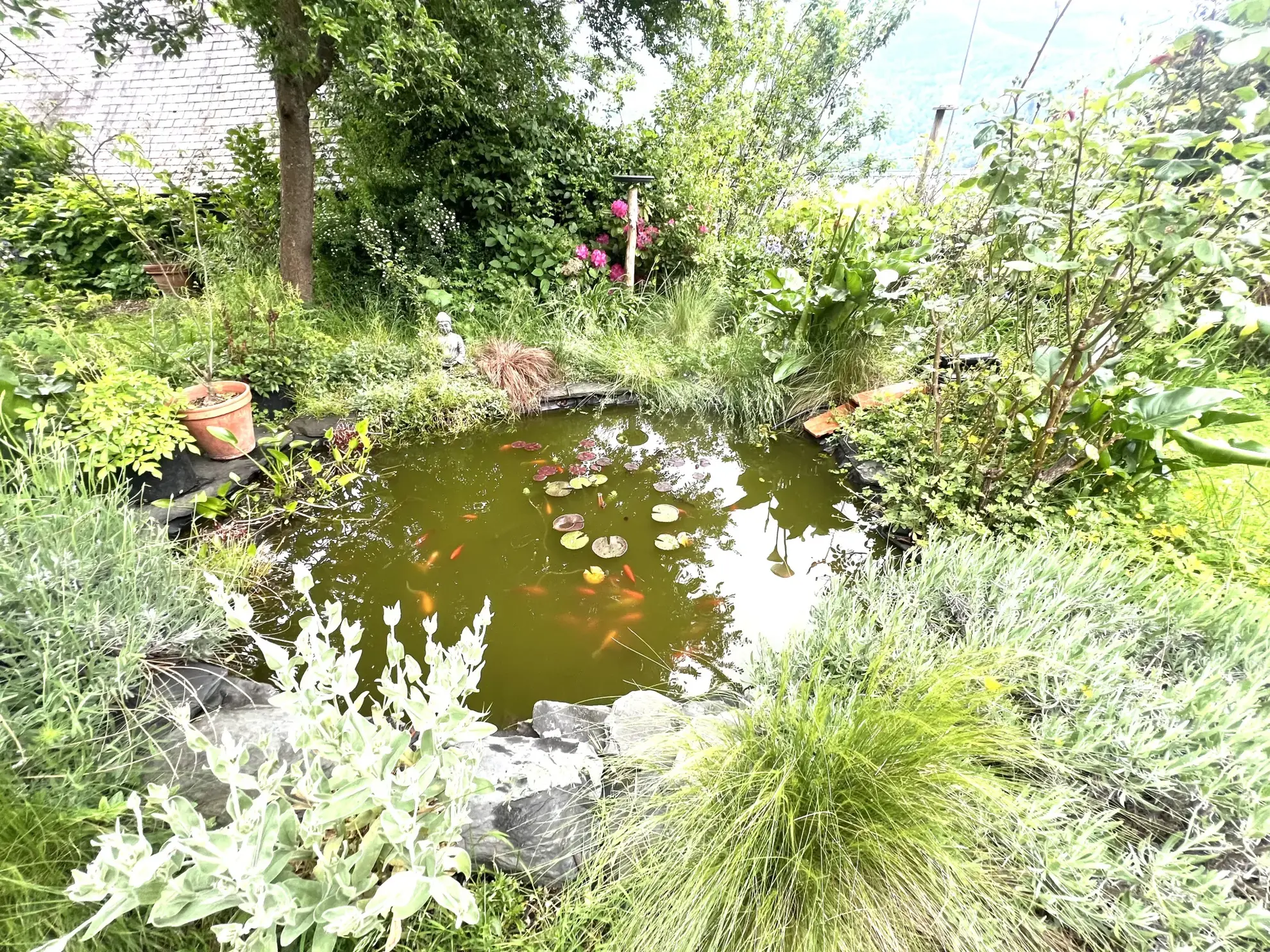 Charmante maison de village avec vue montagne à Saint-Jean-du-Castillonnais 