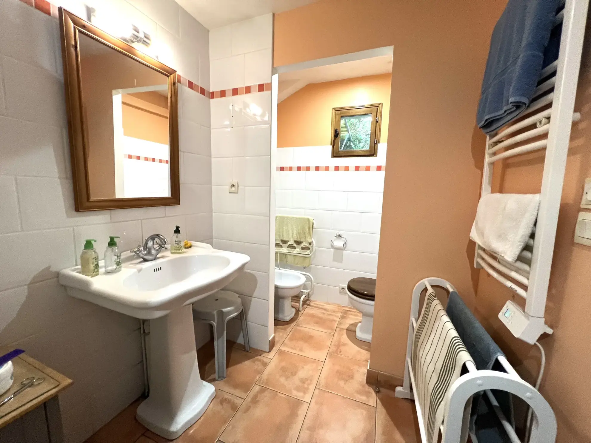 Charmante maison de village avec vue montagne à Saint-Jean-du-Castillonnais 