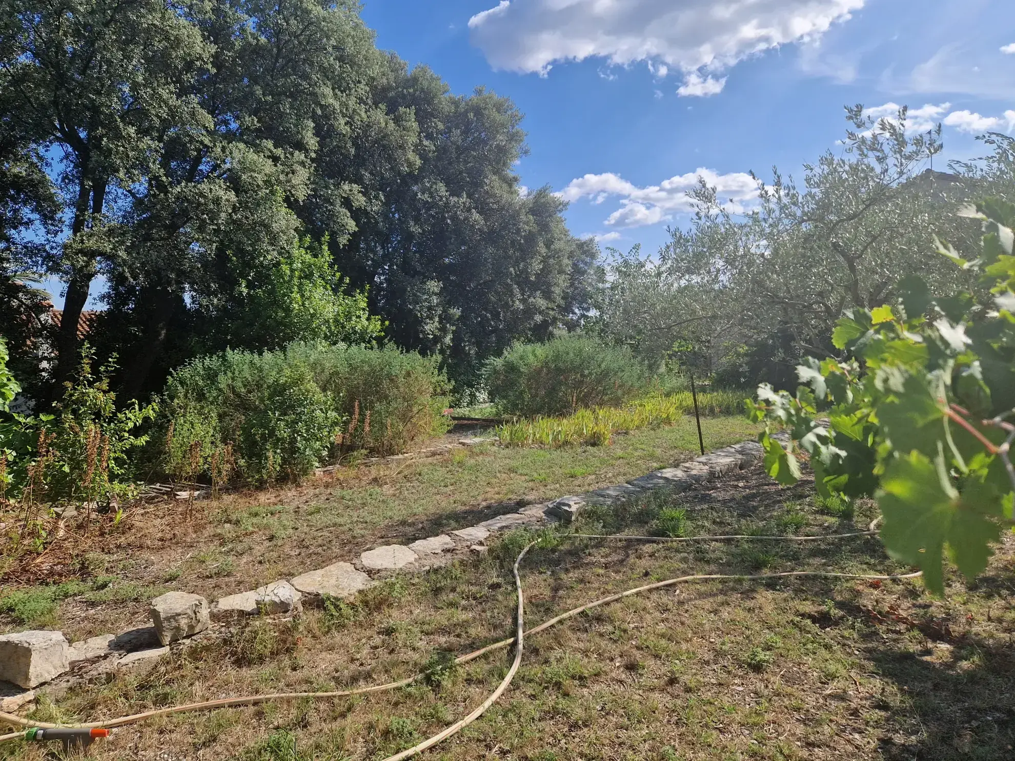 Terrain à bâtir de 718 m² à Asperes, proche de Sommières, dans un environnement calme et arboré 