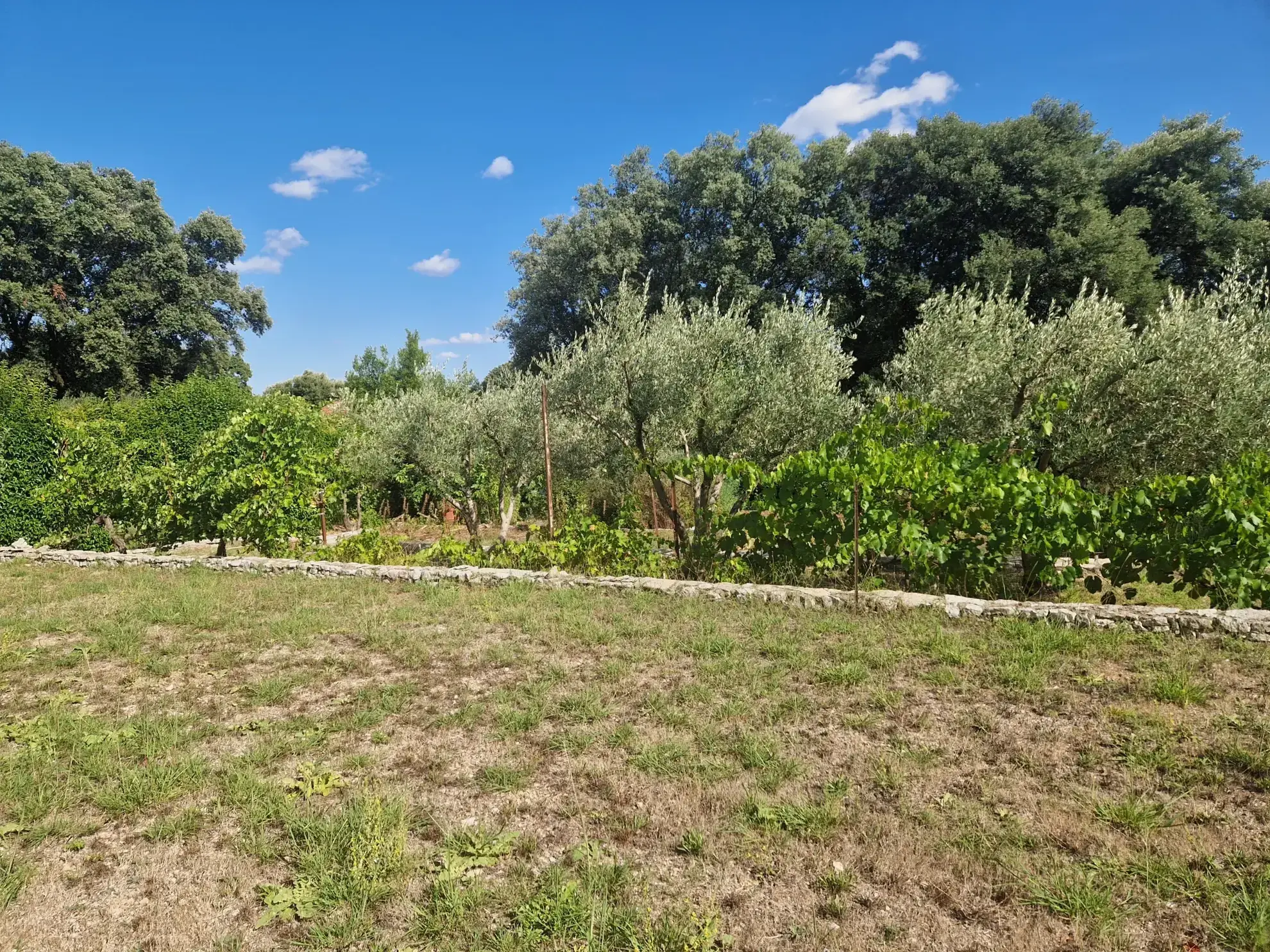 Terrain à bâtir de 718 m² à Asperes, proche de Sommières, dans un environnement calme et arboré