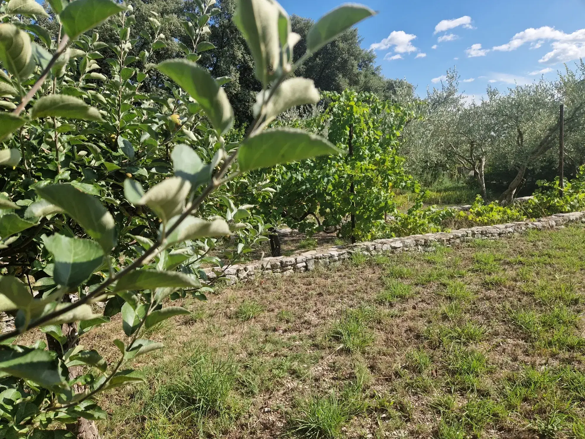 Terrain à bâtir de 718 m² à Asperes, proche de Sommières, dans un environnement calme et arboré 