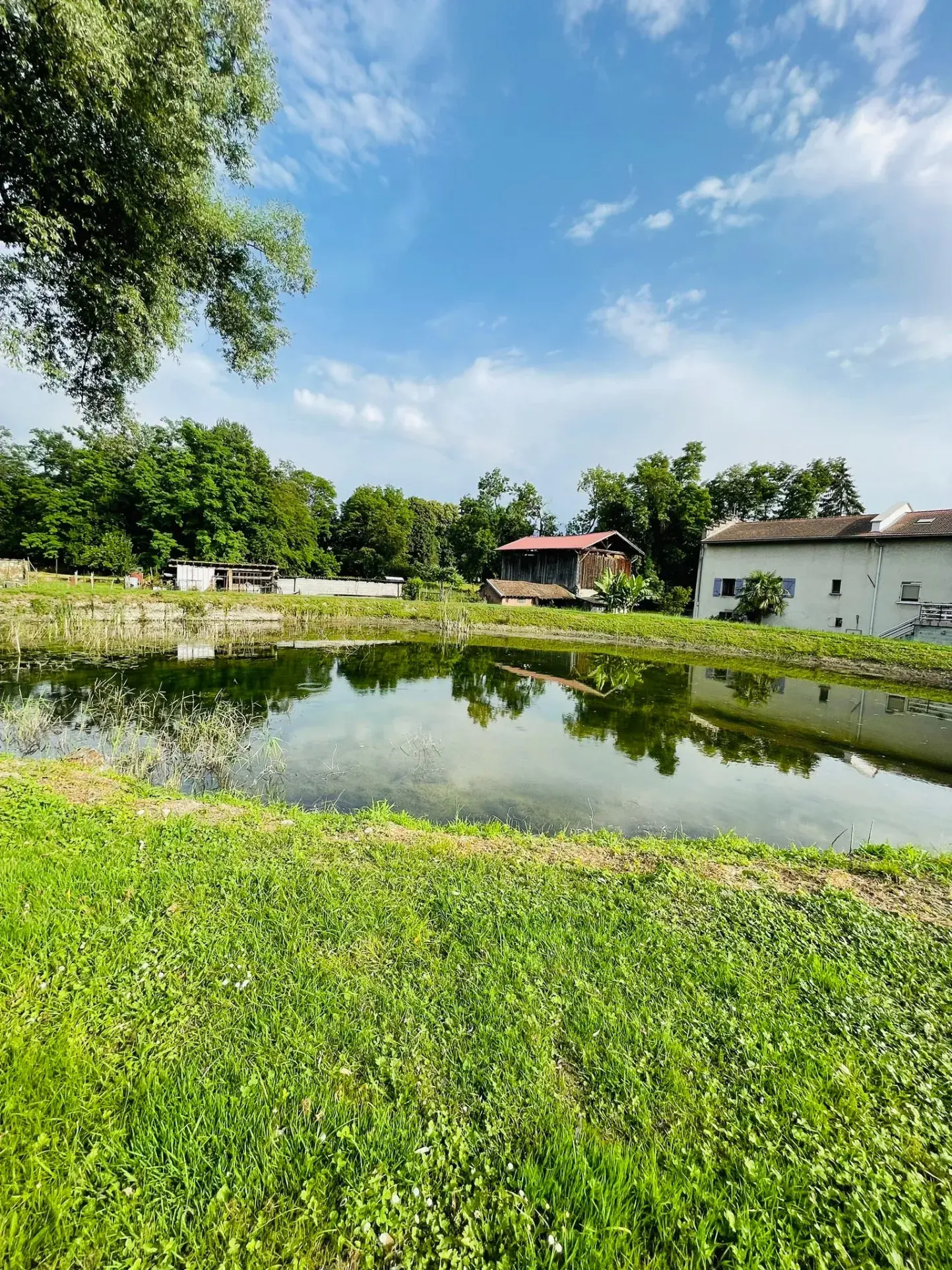 Grande grange à rénover à Moirans avec vue sur étang et champs 