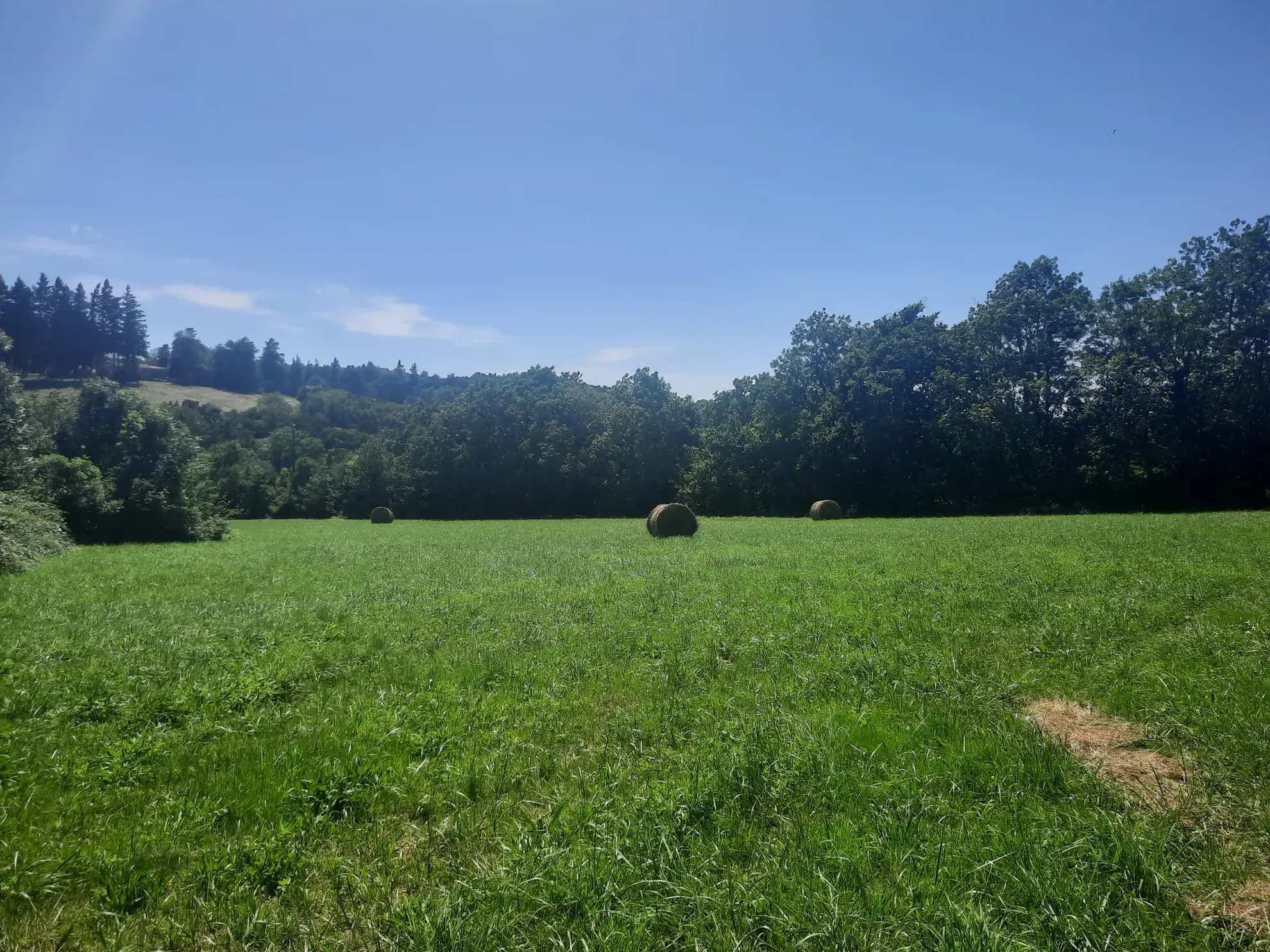 Terrain constructible à vendre à Noailhac, 7400 m² dans un environnement calme 