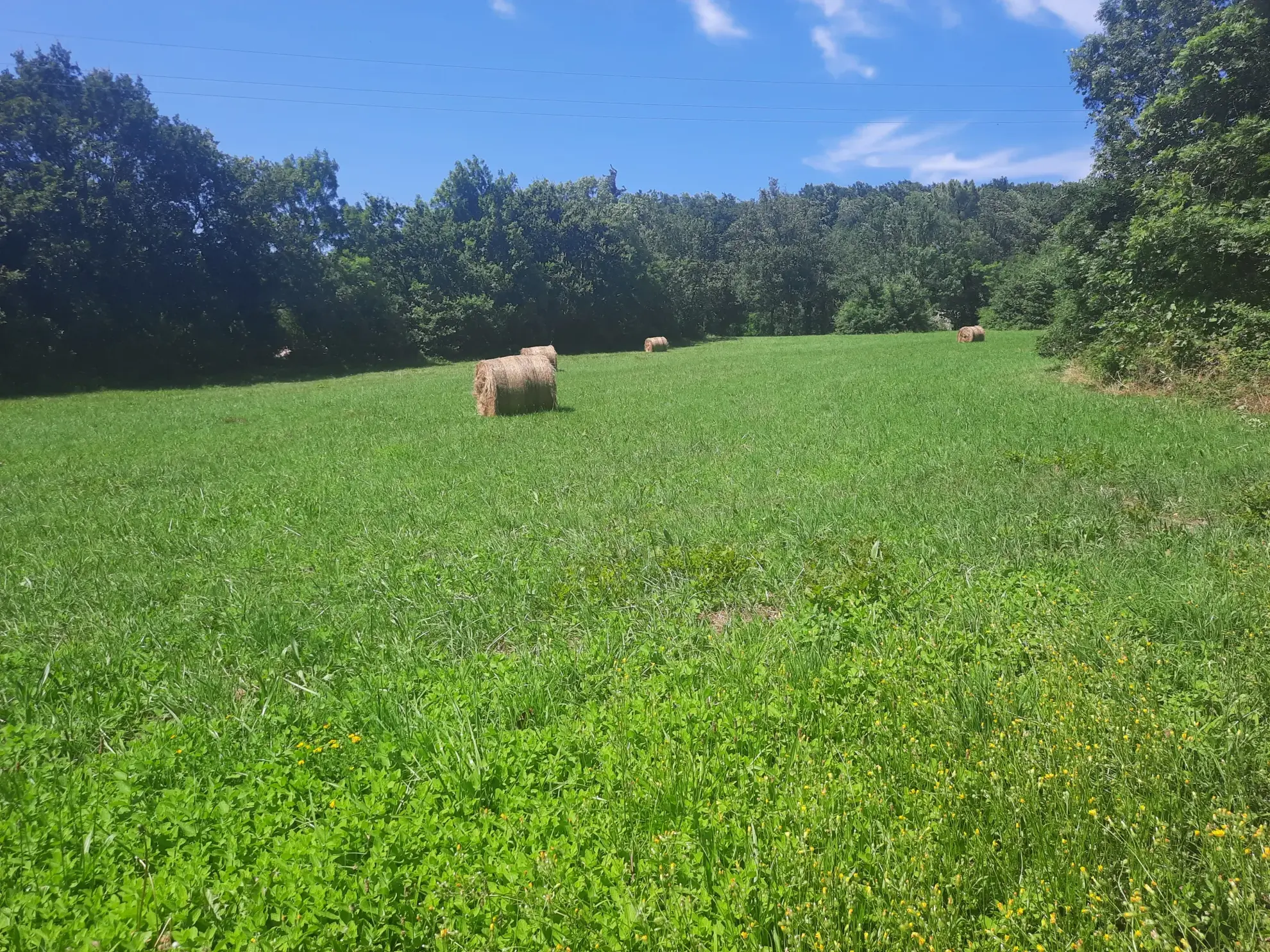Terrain constructible à vendre à Noailhac, 7400 m² dans un environnement calme 