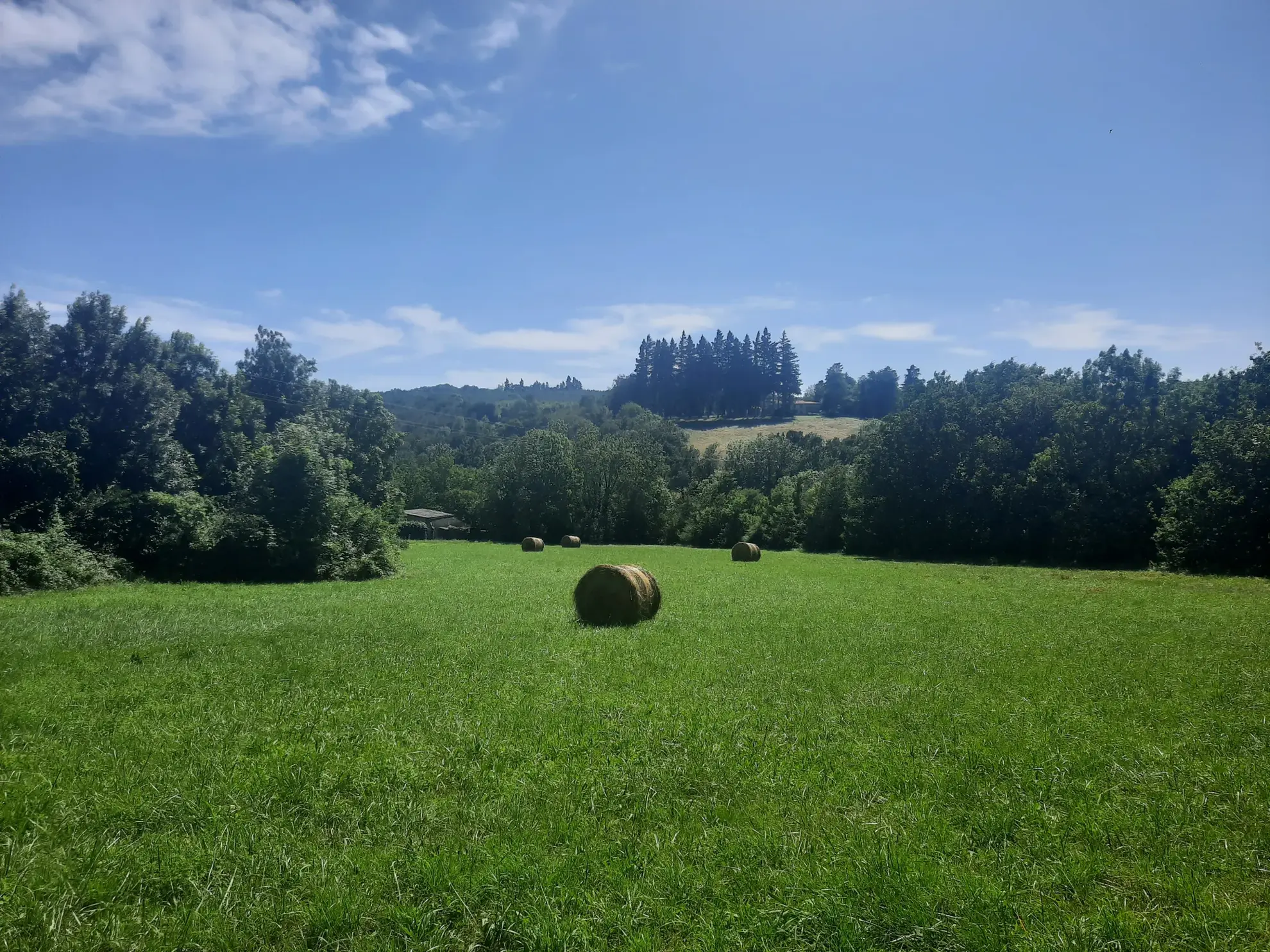 Terrain constructible à vendre à Noailhac, 7400 m² dans un environnement calme