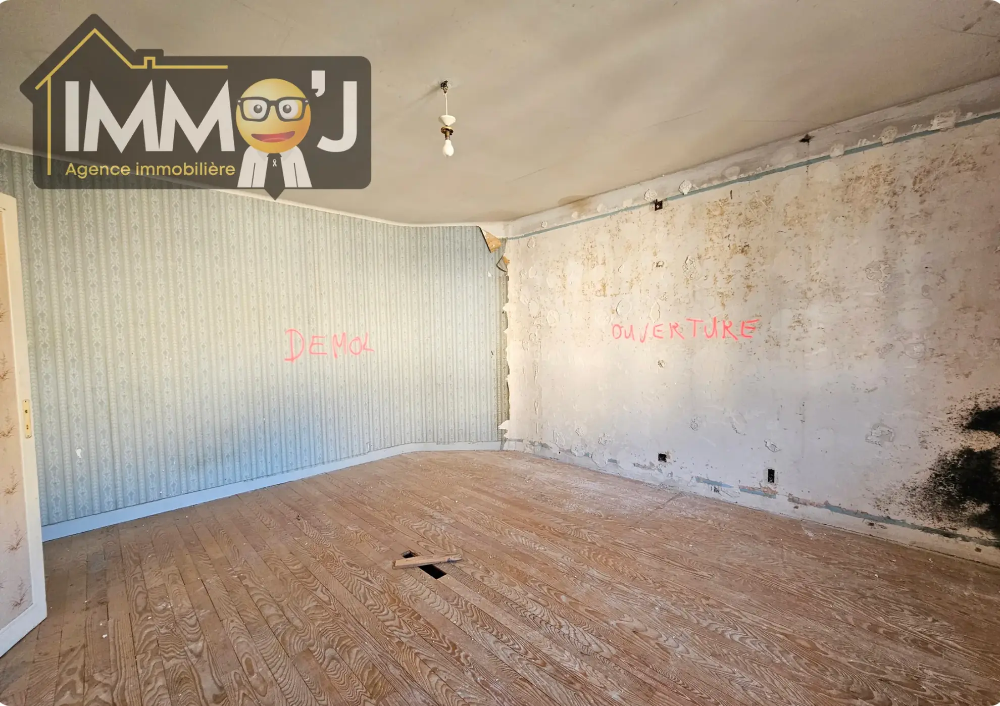 Maison à fort potentiel sur Neuves-Maisons avec grand jardin et garage 